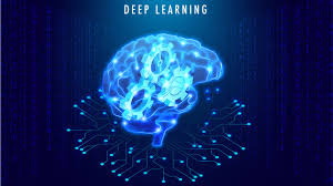 Deep Learning & Neural Networks